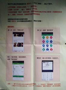 重庆教委最新爆料信息网,揭秘教育改革动态与政策动向